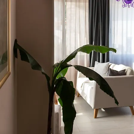 Yukka Comfor Center Hvar With Parking شقة